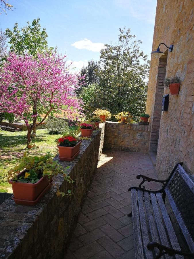 Claudia Vacanza Toscana - Appartamento Nocciolo- 10 Min Da Siena Malignano Kültér fotó